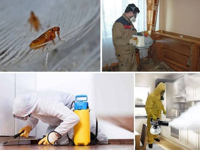 Комплексная обработка против тараканов